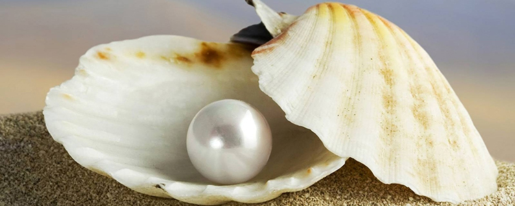 A, AA and AAA Quality pearls - best pearls online in Pure pearls