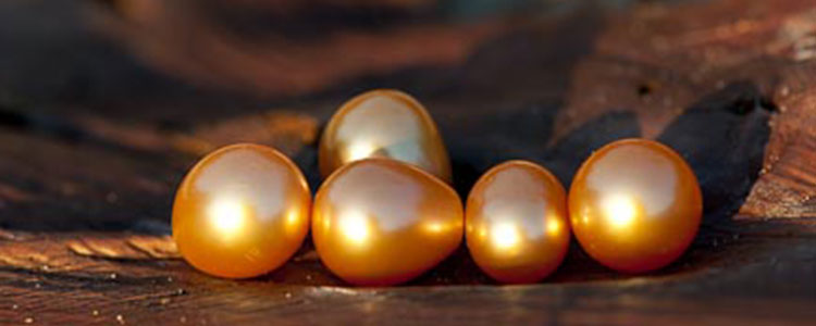 A Must-Read for All South Sea Pearl Lovers
