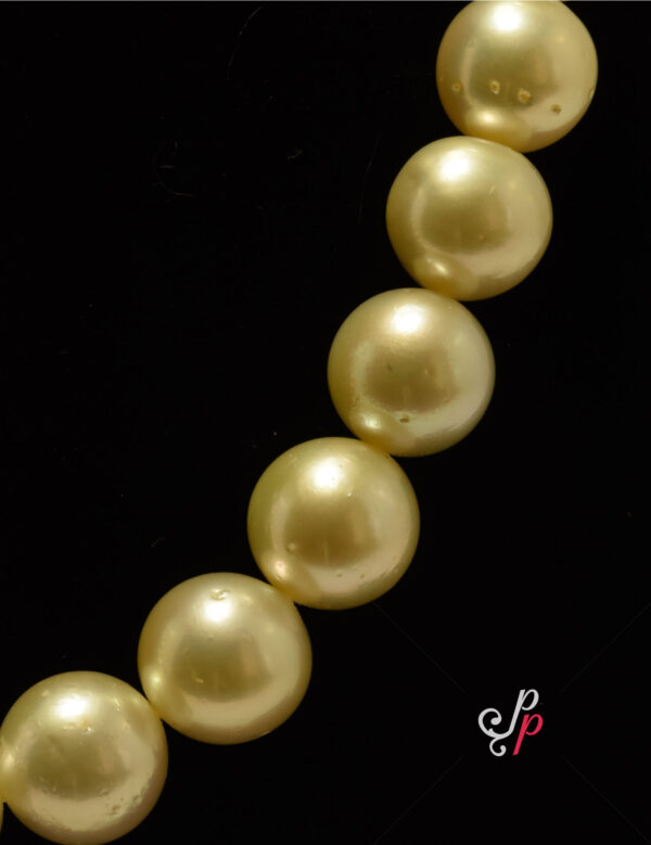 Bold and beautiful - magnificent, light golden south sea pearl necklace