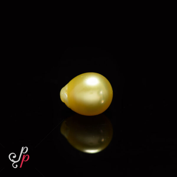 13.25 Carat - 21.2 Ratti Drop Shaped Golden Colour South Sea Pearl For Pendant
