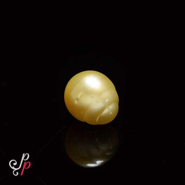 19.5 Carat - 31.2 Ratti Drop Shaped Golden Colour South Sea Pearl For Pendant