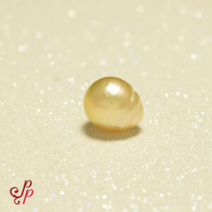 19.5 Carat - 31.2 Ratti Drop Shaped Golden Colour South Sea Pearl For Pendant