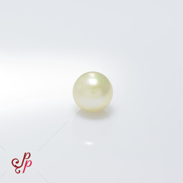 5 to 5.5 Carats - 8 to 8.5 Ratti - White South Sea Pearl for Astrology Finger ring