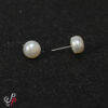 White Pearl Studs - Freshwater button pearls