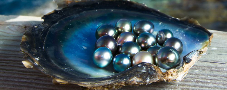 How Do Pearls Get Their Colours and How to Choose Your Perfect Pearl?