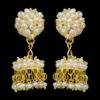 Beautiful traditional seed pearl jhumkas